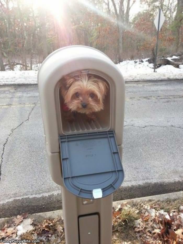 Package Has Arrived