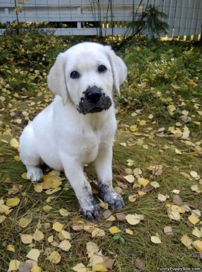 Playing In The Dirt A Bit