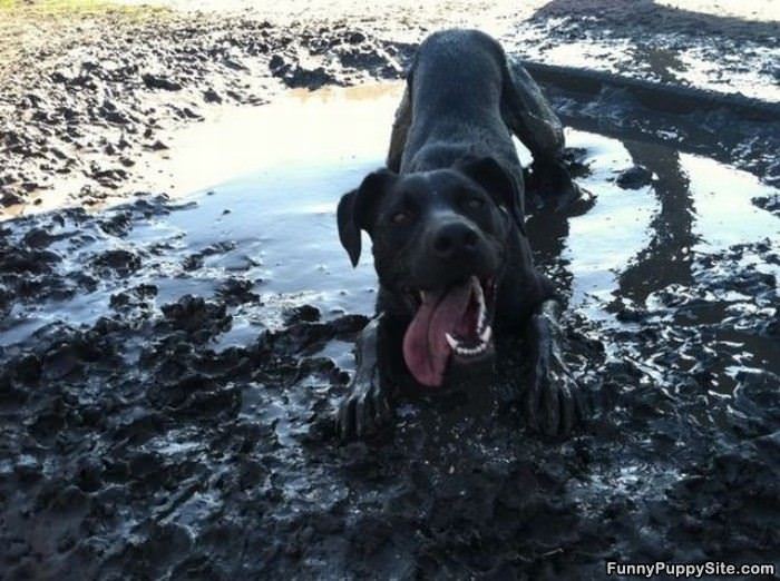 Playing In The Mud