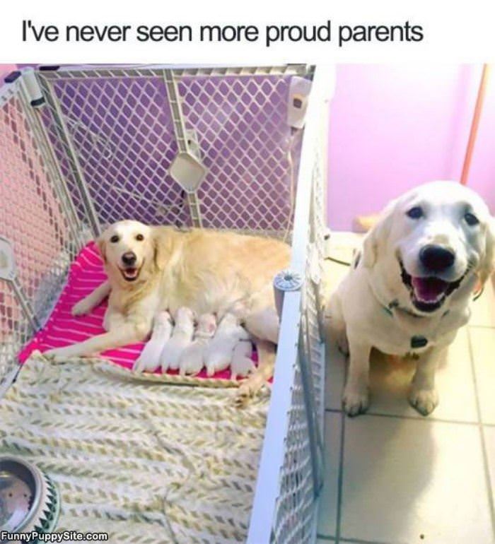 Proud Parents