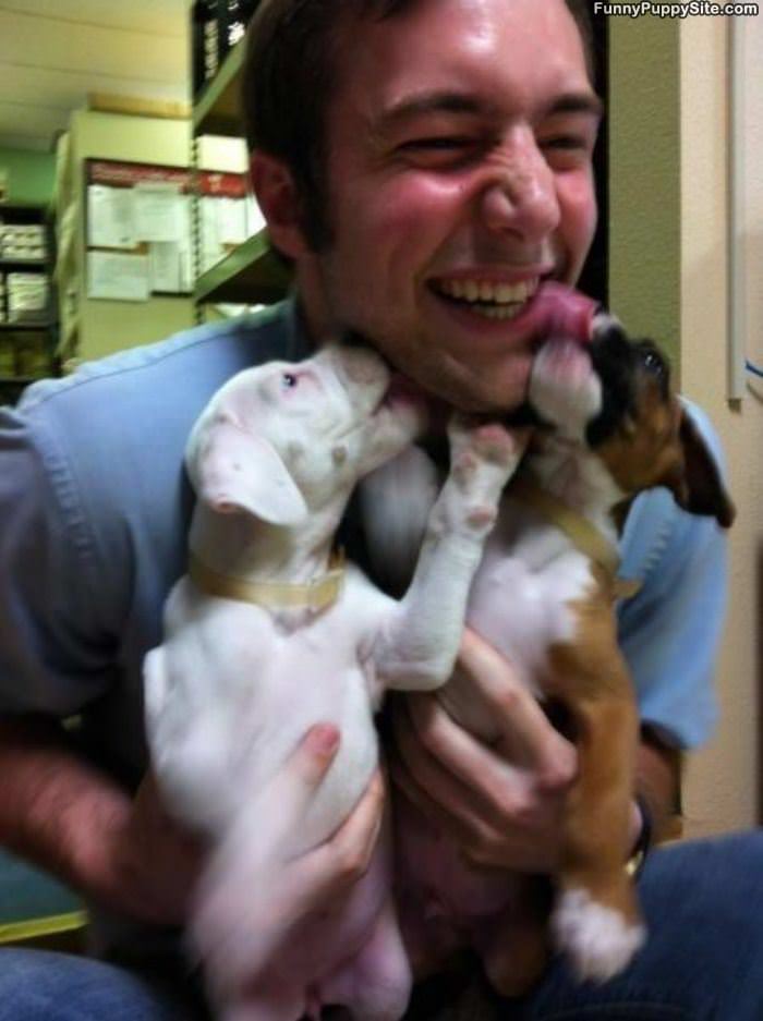 Pupppiiiiiesssss