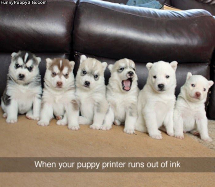 Puppy Printer