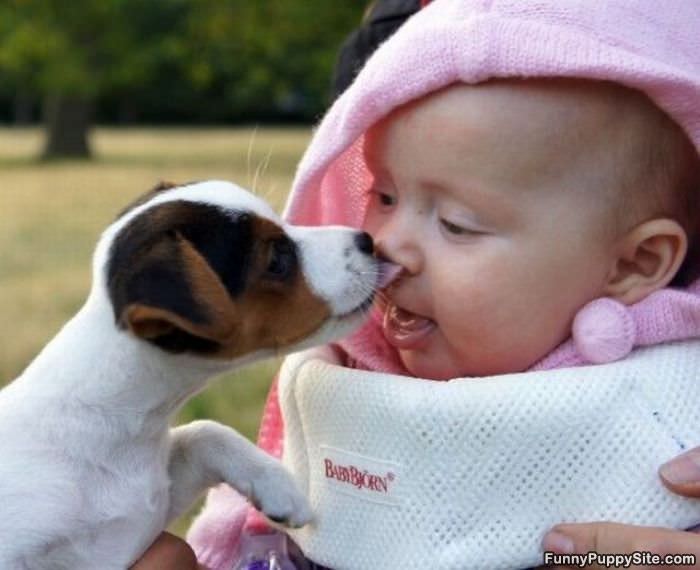 Puppy Vs Baby