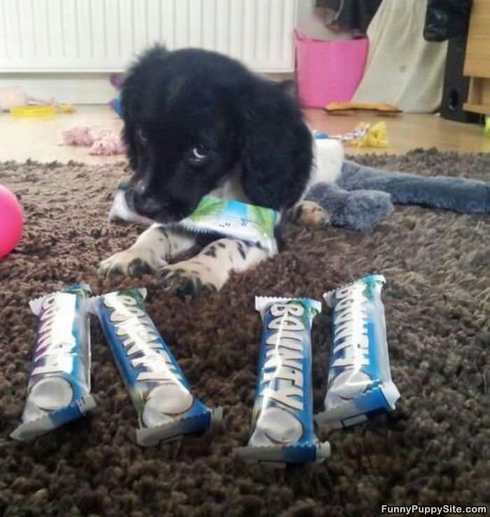 Relaxing With My Chocolates