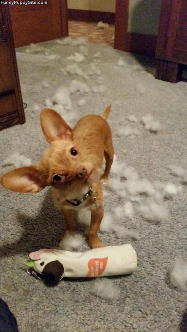 Ripping It All Up