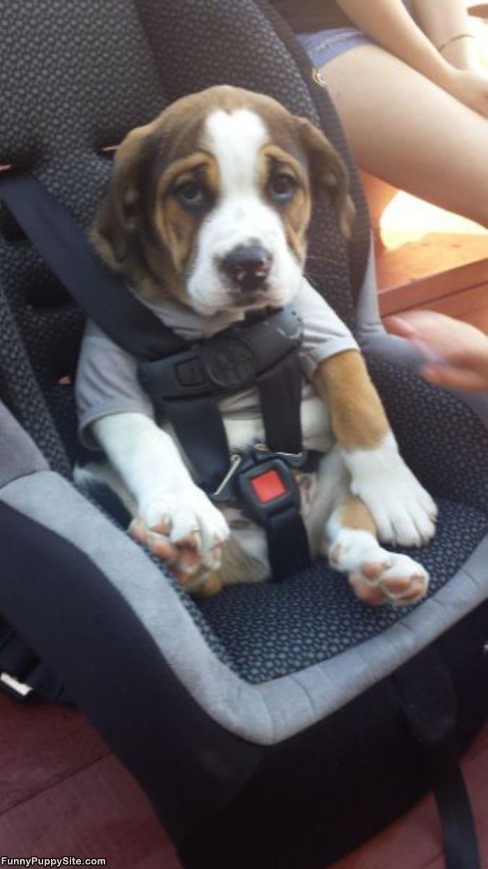 Safety First