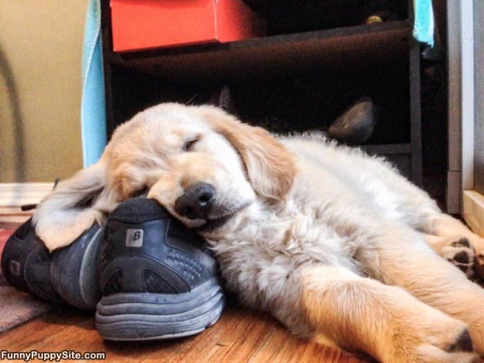 Sitting On My Sneaks