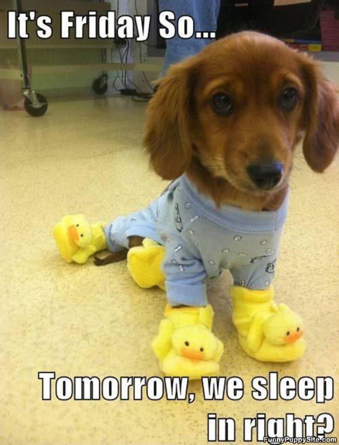 Sleep In