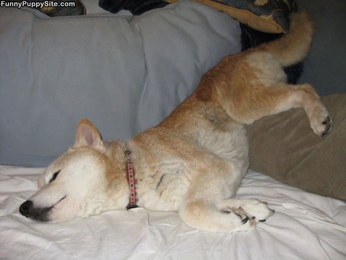 Sleep Is Awessome