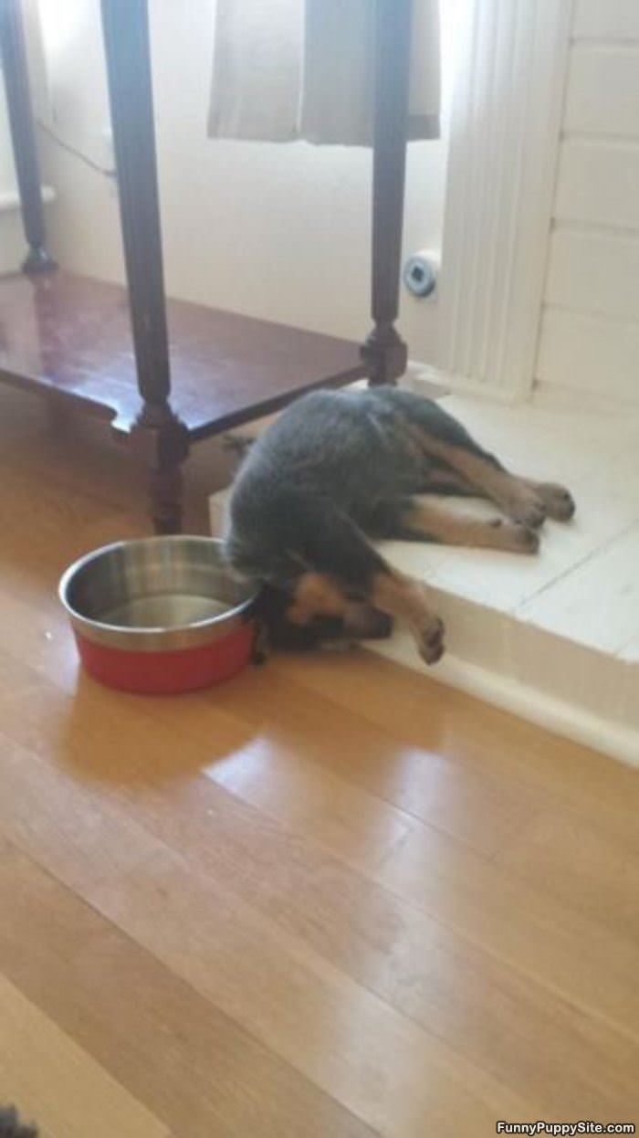 Sleeping Close To Food