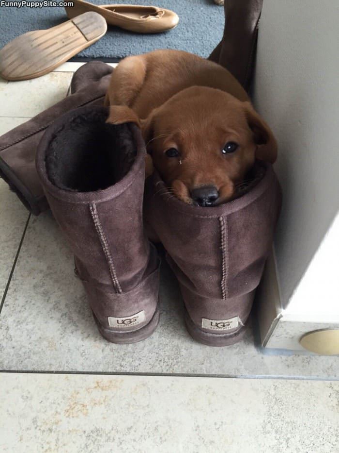 Sleeping In A Boot