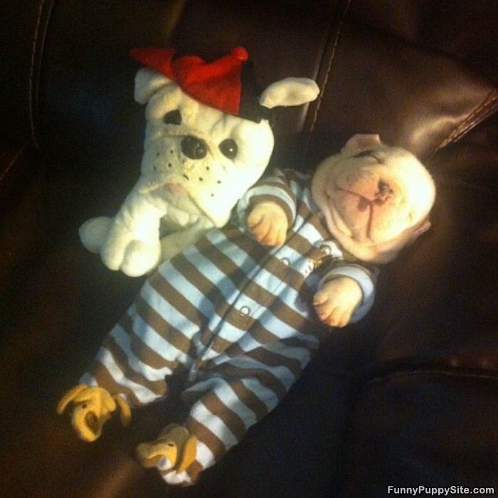 Sleeping Like A Baby