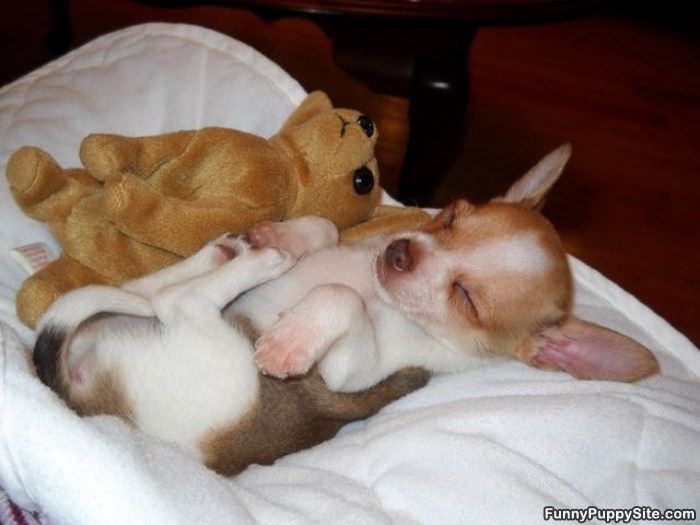 Sleeping On My Back