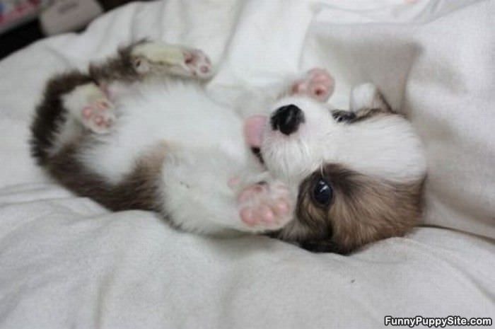 So Freakin Cute