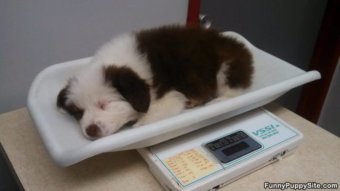 So Little