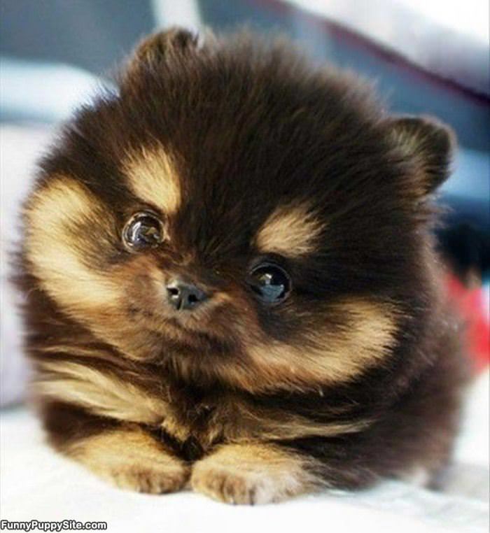 So Little