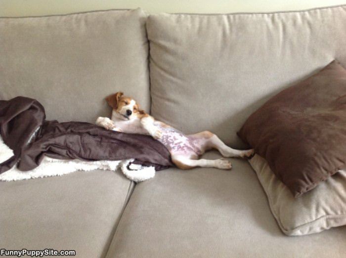 So Sleepy Today