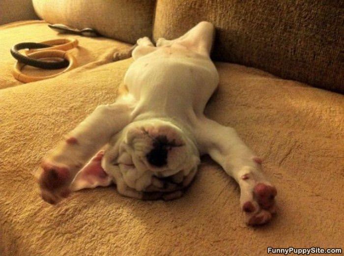 So So Sleepy
