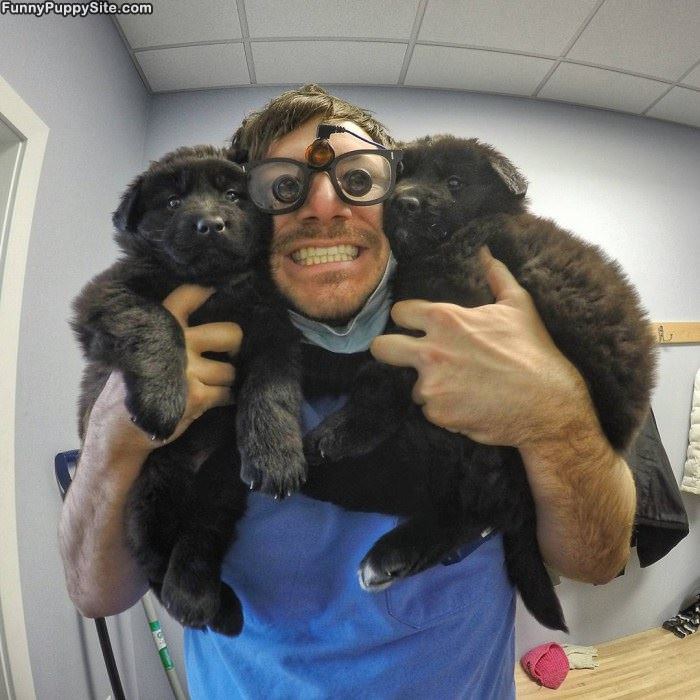 Some Cute Pups