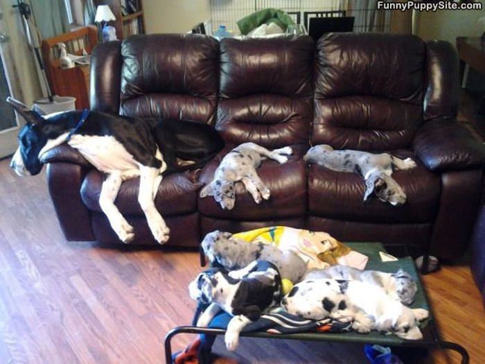 Some Lounging Around
