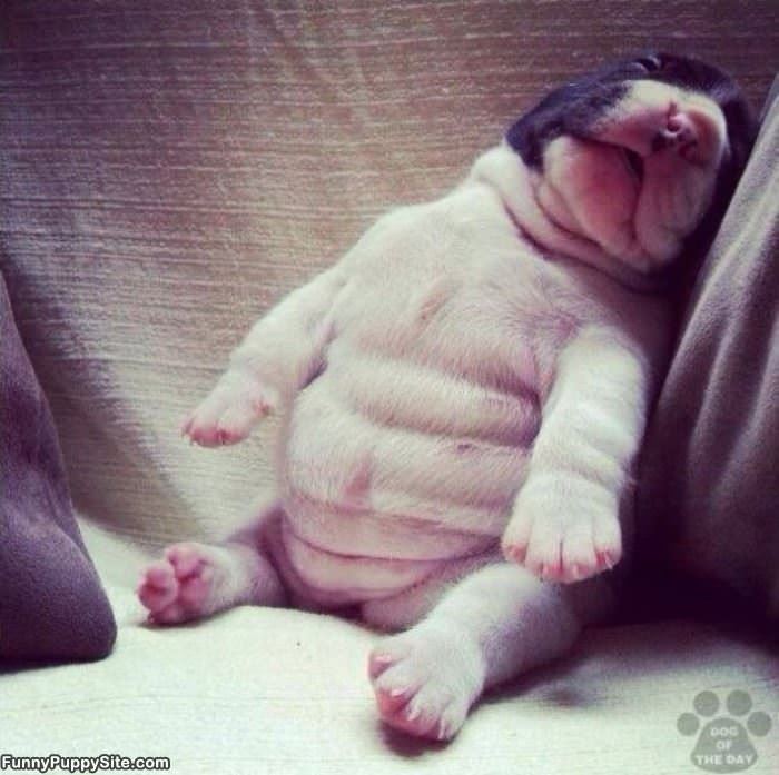 Sooo Passed Out