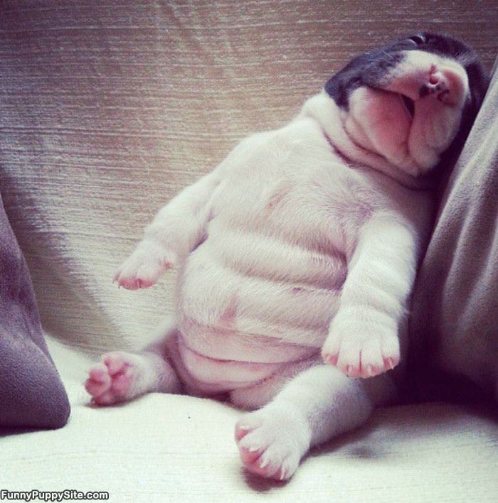 Sooo Passed Out