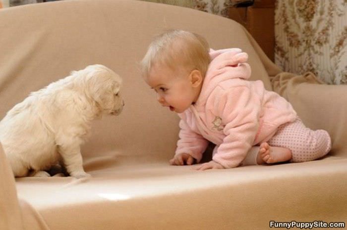 Stand Off