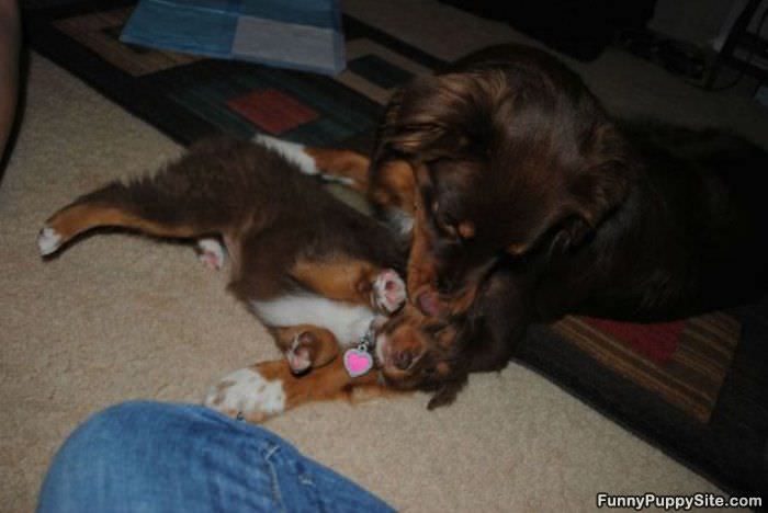 Stop It Tickles