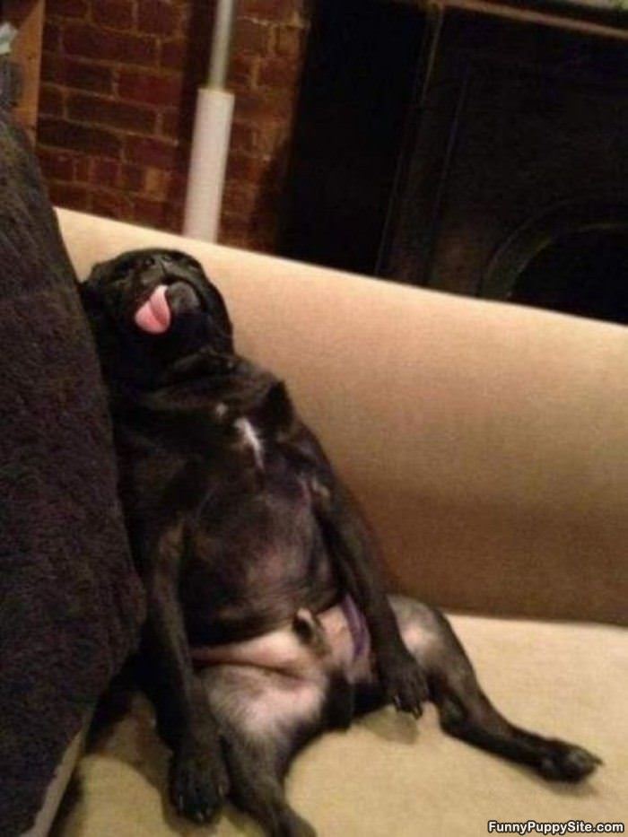 Super Passed Out
