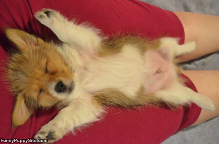 Super Sleep