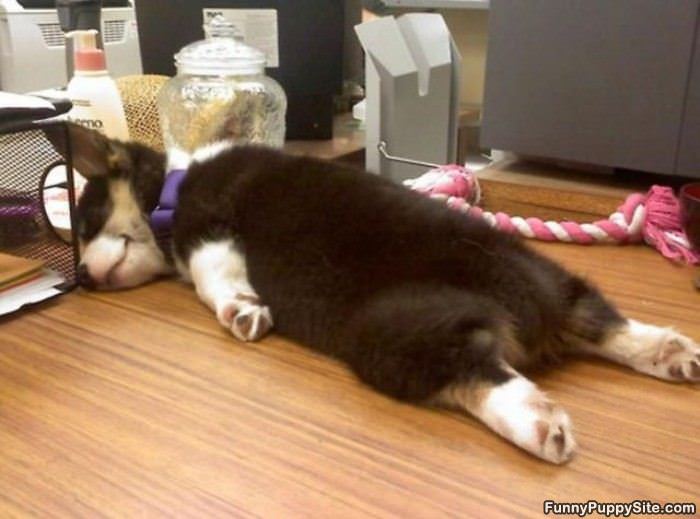 Super Tired