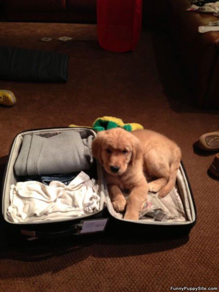 Take Me With You