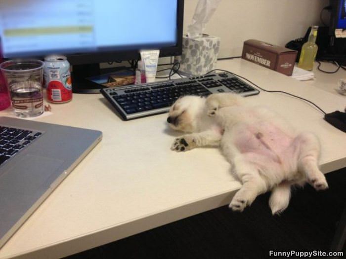 Taking A Little Nap