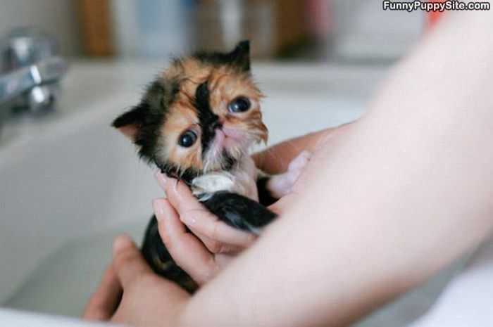 Taking A Tiny Bath