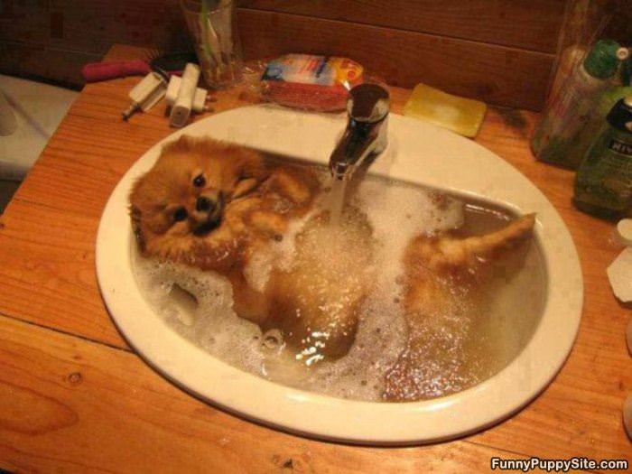 Taking A Warm Bath