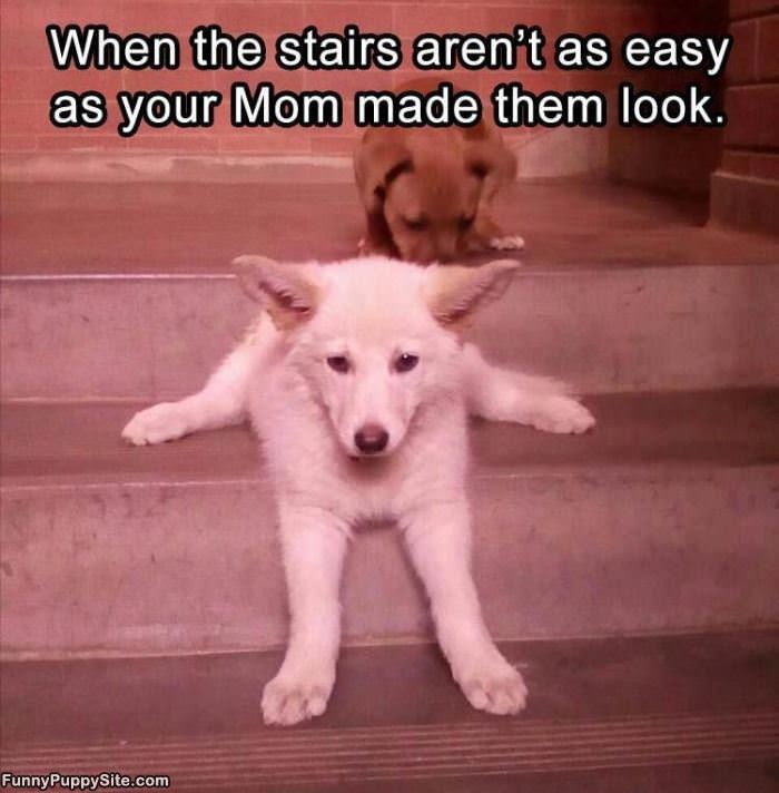 The Stairs Are Not As Easy