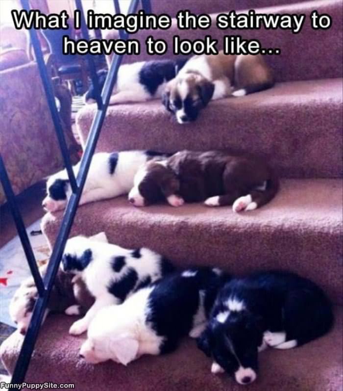 The Stairway To Heaven