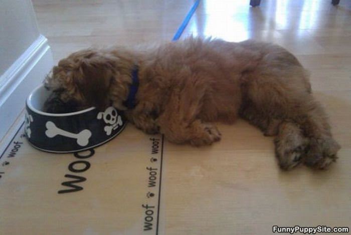 This Food Is Making Me Tired