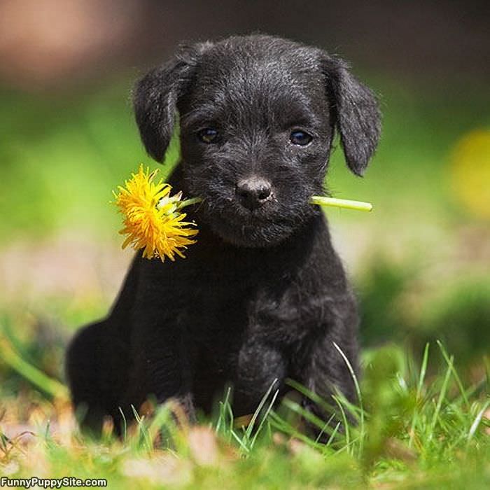 This For You
