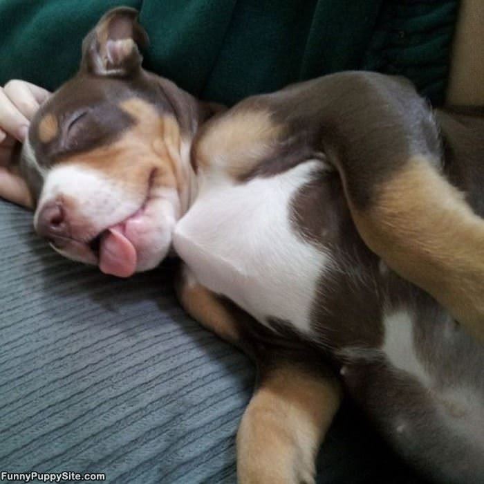 This Is How I Dream