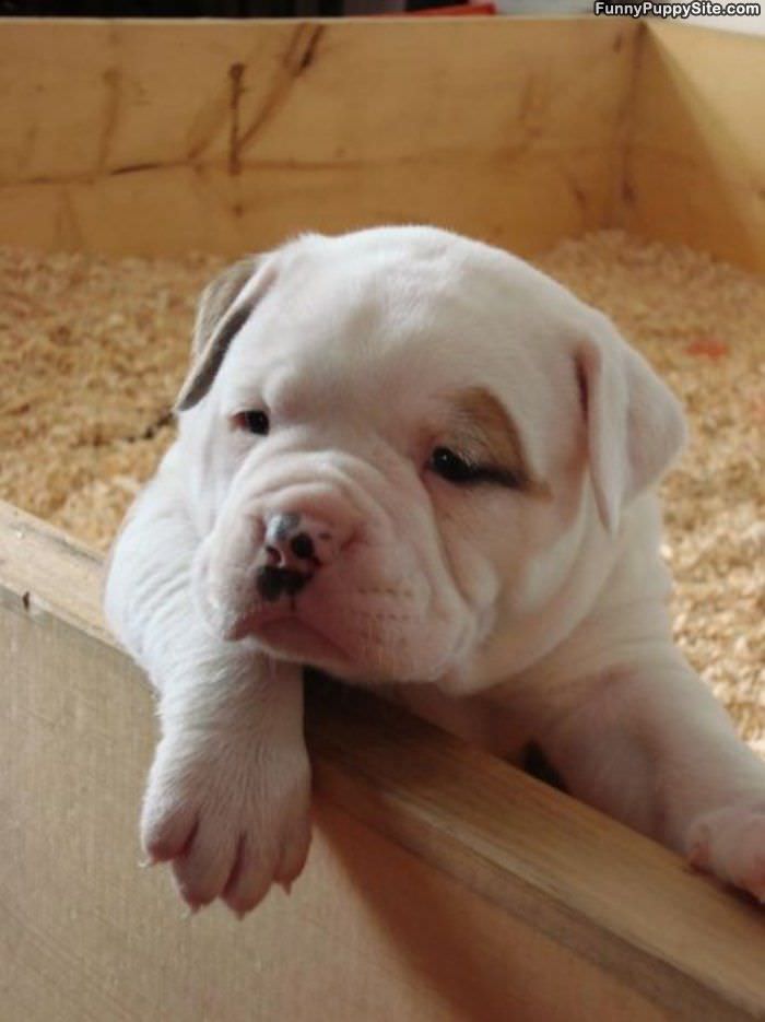 This Is Sooo Boring