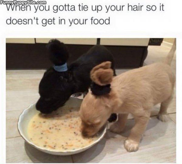 Tie Up My Hair