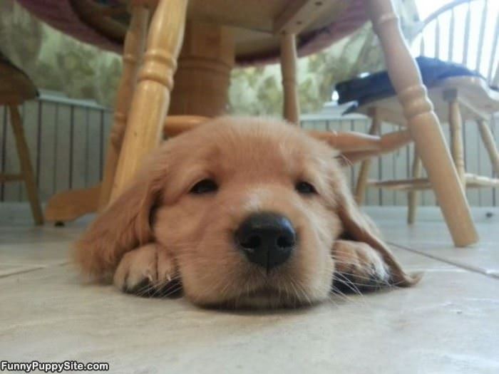 Time For My Closeup