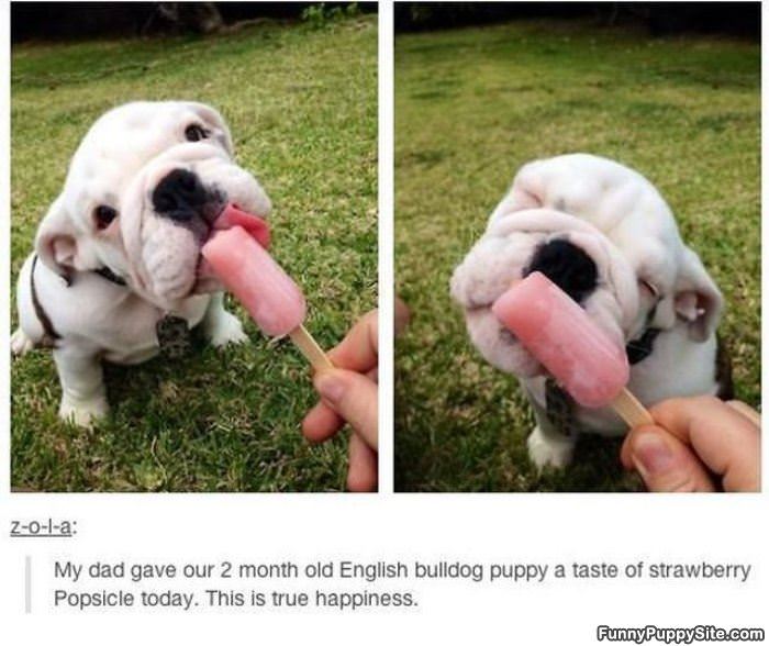 True Happiness