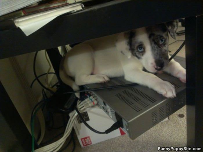 Under The Table