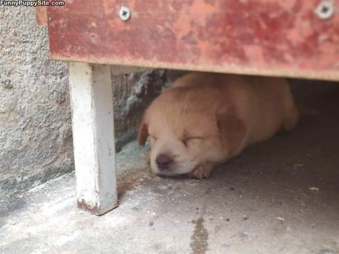 Under The Table