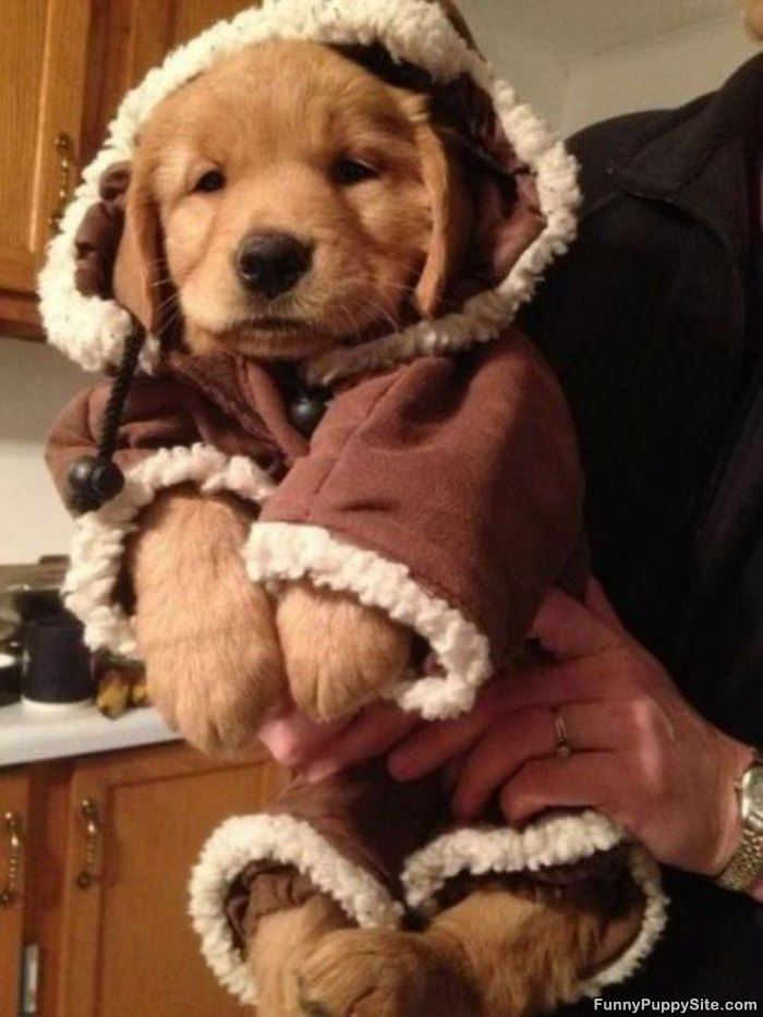 Very Bundled Up