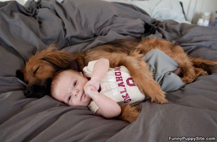 Very Cuddled Up