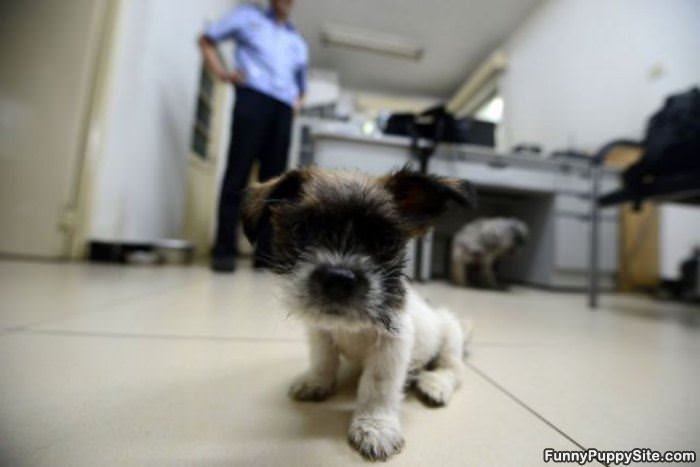 Very Little One