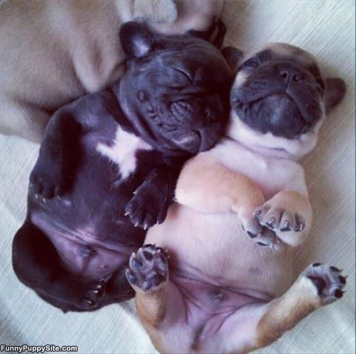 Very Passed Out